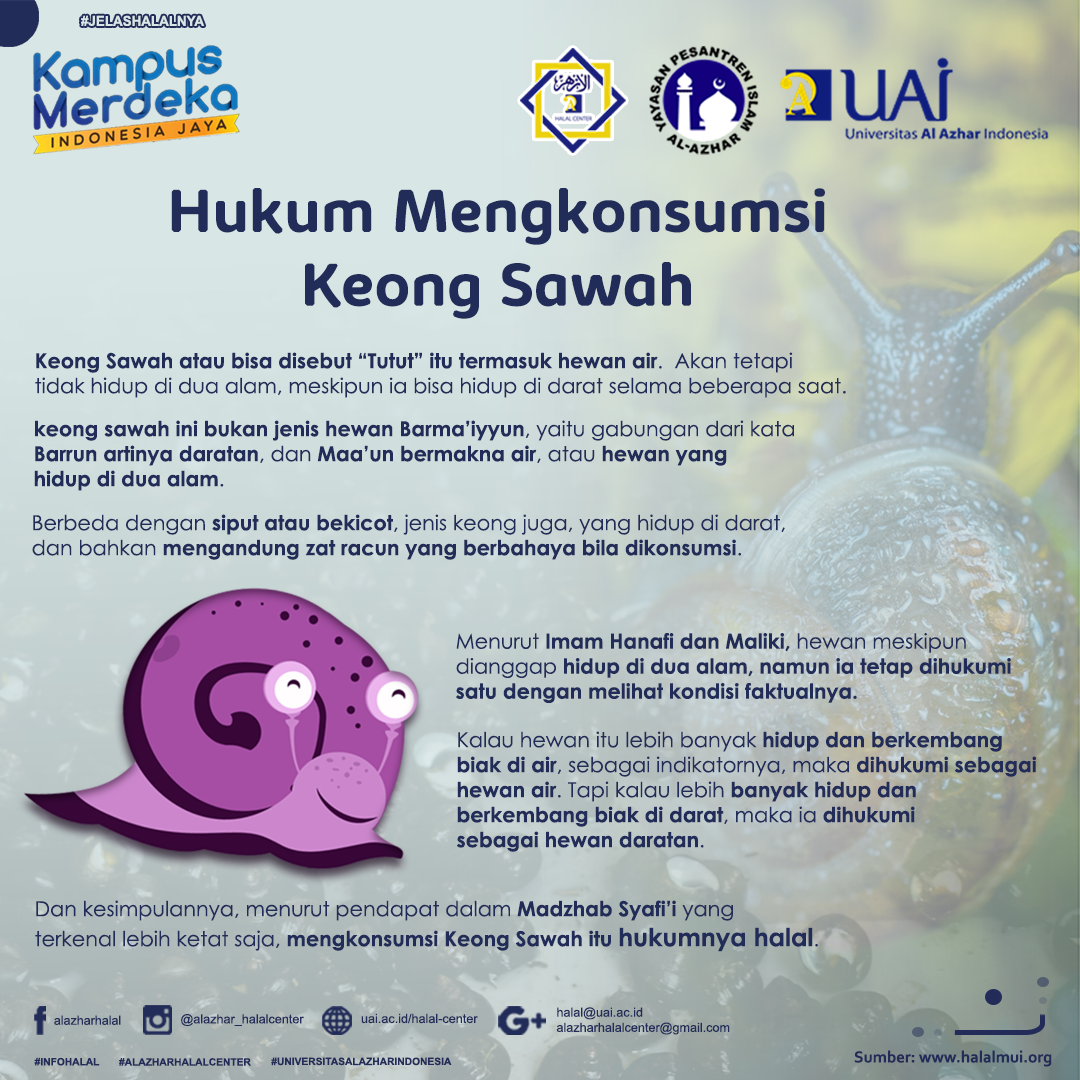 Info Halal Keong Sawaah